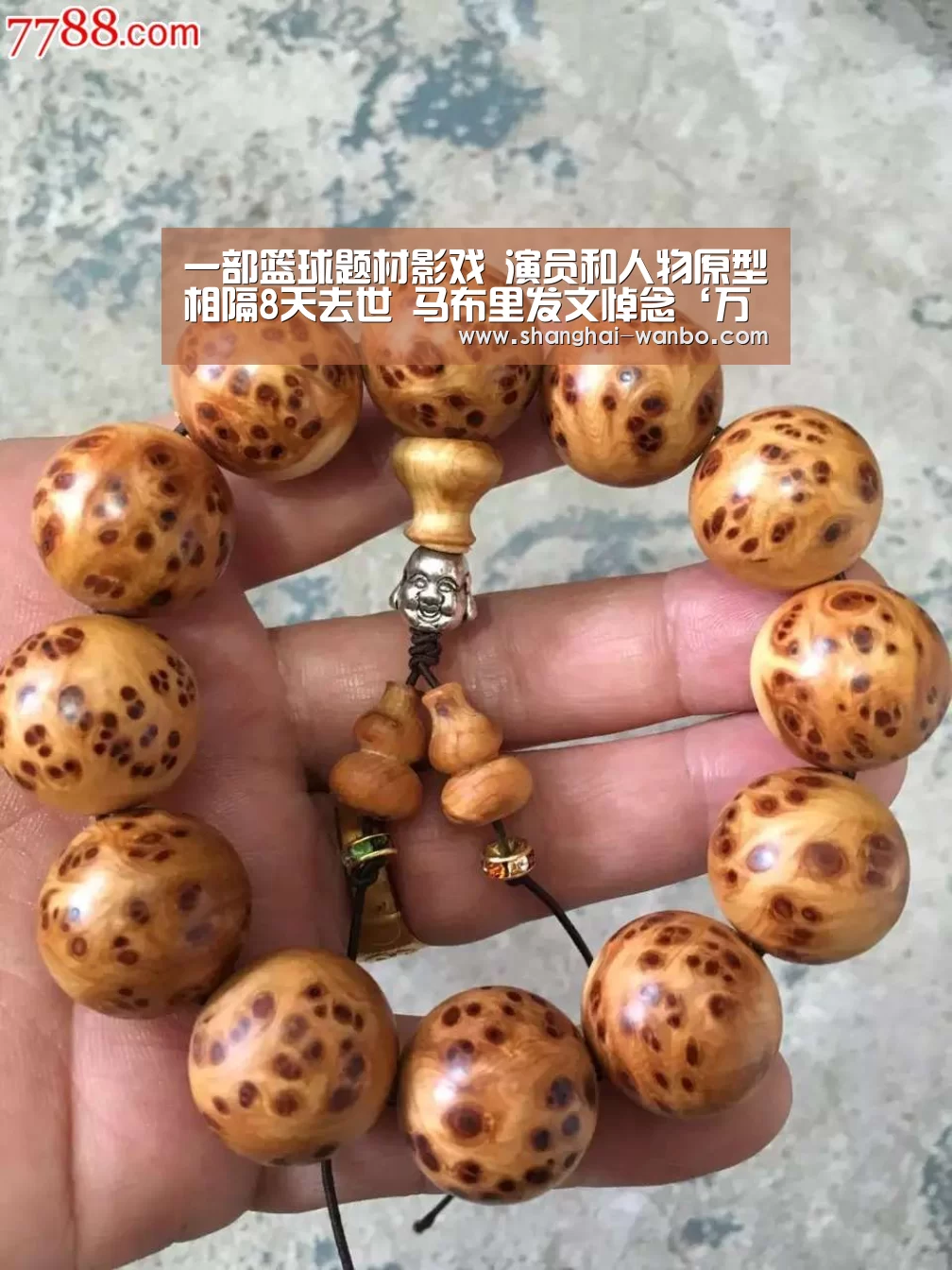  万博体育登录